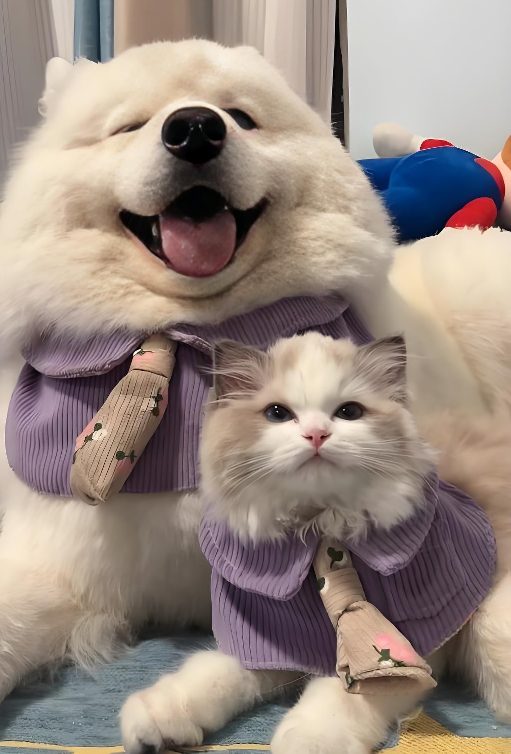 Why we need New Products?